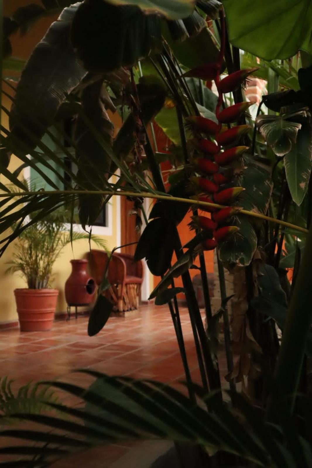 Hotel Boutique Sol Y Luna Spa آجيجيك المظهر الخارجي الصورة